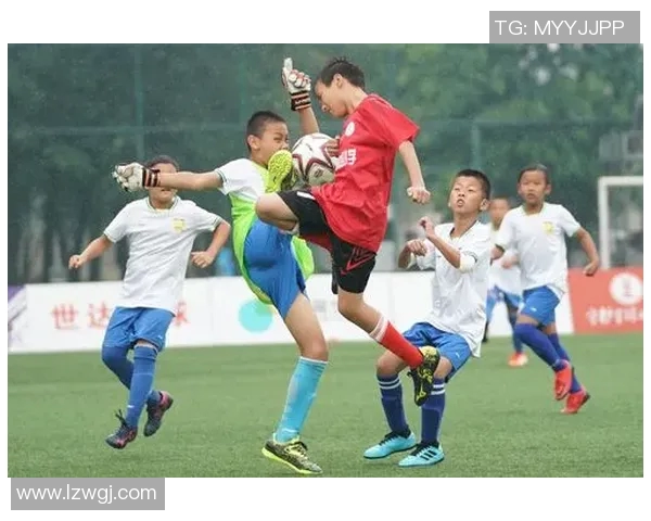 成都足球赛事盛况空前球迷热情高涨助力球队争辉